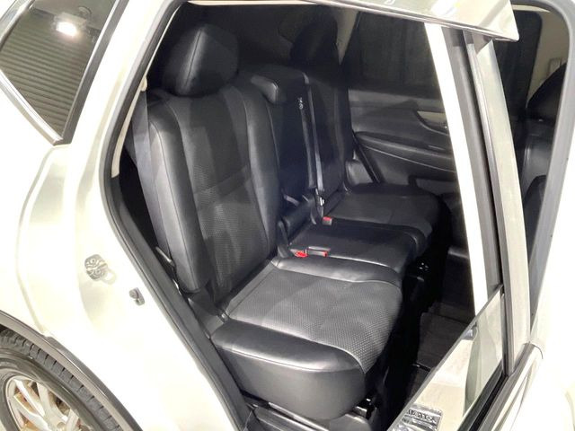 �㕔���Ȃ��C�ɂȂ�悤�ȃL�Y�E�����ւ��蓙�A�傫�ȃ_���[�W�͂Ȃ��A�ǍD�ȏ�Ԃł��B