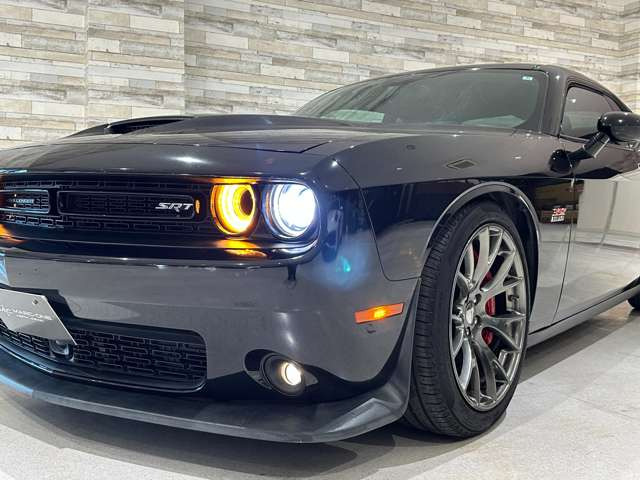 �d��:�����A�[�o���p�[�N���C�����؍�w���k����5��&rArr;