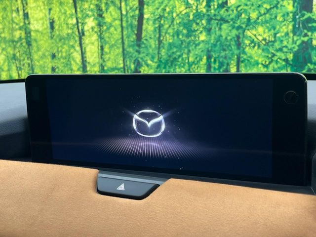 �yBOSE�T�E���h�V�X�e���t12.3�^�R�l�N�g�i�r�z�[���̃i�r�@�\�͂������A���x�ȃ`���[�j���O�\�͂����ڂ���Ă���A�������ȉ��y�����y���݂��������܂���