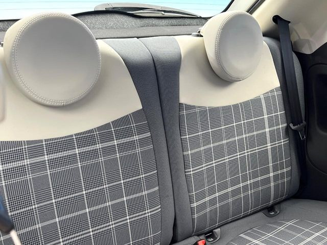 ���㕔���Ȃ��C�ɂȂ�悤�ȃL�Y�E�����ւ��蓙�A�傫�ȃ_���[�W�͂Ȃ��A�ǍD�ȏ�Ԃł��B