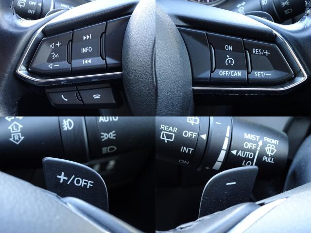 �X�e�A�����O�X�C�b�`�e��͉^�]���Ɏ�⎋�����O�����ƂȂ�����\�ł��B