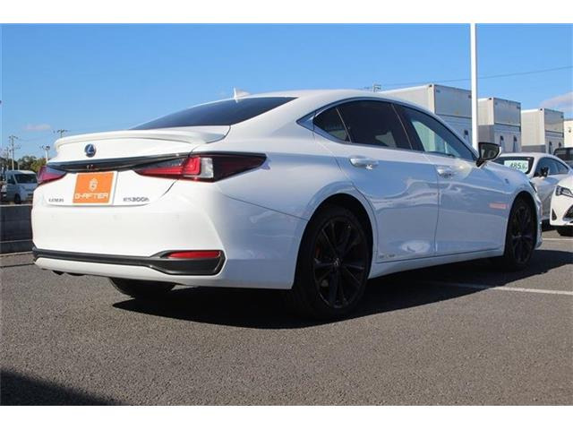 ���Ǝҗl�ւ̔̔��͂��f�肳���Ă��������܂��B �Ԍ������ԗ��̏ꍇ�́A�Ԍ����擾�������x�������z�ŕ\�����Ă���܂��B