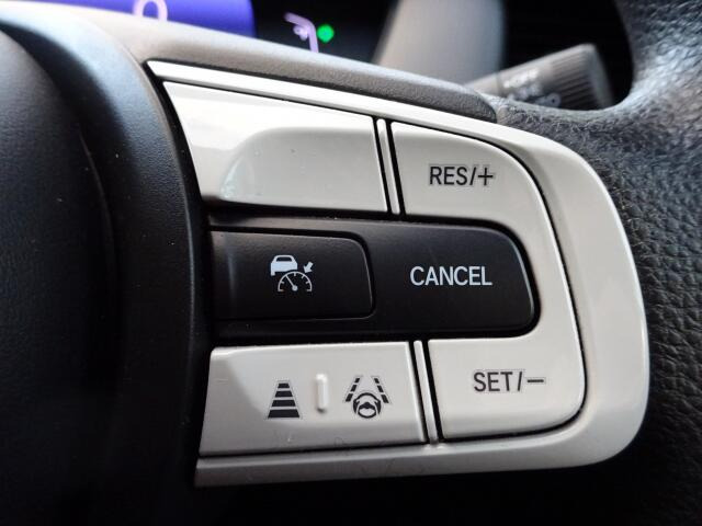 �N���[�Y�R���g���[��������A�N�Z���𓥂܂Ȃ��Ă���葬�x�ł̑��s���\�Ȃ̂ŁA�^�]���̔�J���y���ł��܂�!