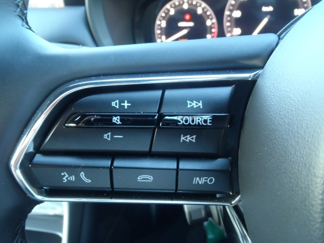 CX-602.5 25S エクスクルーシブモード