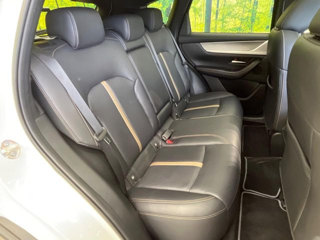 �㕔���Ȃ��C�ɂȂ�悤�ȃL�Y�E�����ւ��蓙�A�傫�ȃ_���[�W�͂Ȃ��A�ǍD�ȏ�Ԃł��B