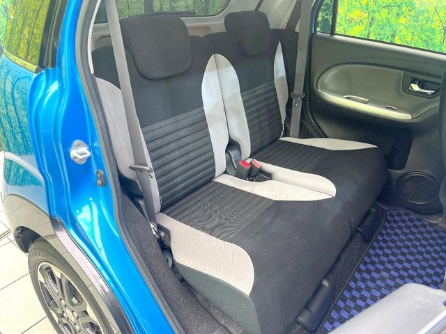 �㕔���Ȃ��C�ɂȂ�悤�ȃL�Y�E�����ւ��蓙�A�傫�ȃ_���[�W�͂Ȃ��A�ǍD�ȏ�Ԃł��B