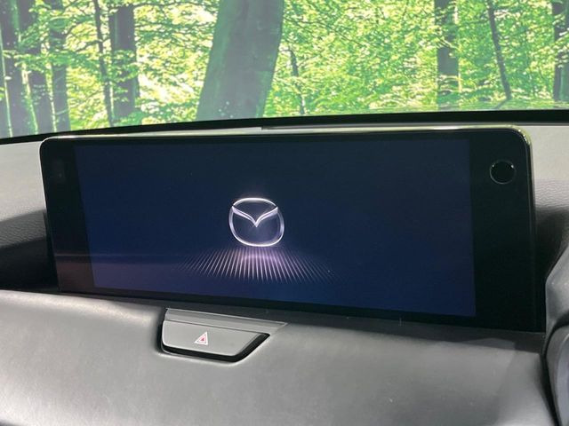 �yBOSE�T�E���h�V�X�e���t���f�B�X�v���C�z���莝���̃X�}�[�g�t�H���Ƃ̘A�g�ŁA�i�r�≹�y�Đ��ȂǊe��A�v�����g�p�\�B�X�}�z�ɋ߂����o�ł��g�����������܂���