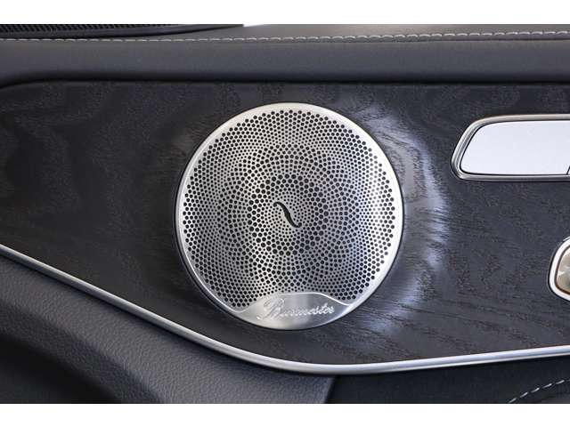 �E�G�N�X�N���[�V�u�p�b�P�[�W -�w�b�h�A�b�v�f�B�X�v���C -�n���Y�t���[�A�N�Z�X(�g�����N���b�h�����J�@�\)-Burmester�T���E���h�T�E���h�V�X�e��