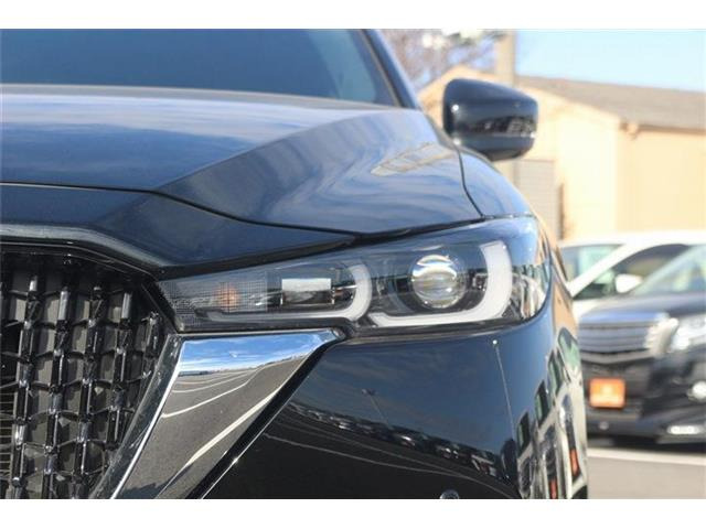 ���Ǝҗl�ւ̔̔��͂��f�肳���Ă��������܂��B �Ԍ������ԗ��̏ꍇ�́A�Ԍ����擾�������x�������z�ŕ\�����Ă���܂��B