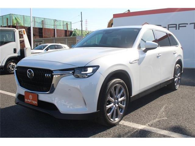 ���Ǝҗl�ւ̔̔��͂��f�肳���Ă��������܂��B �Ԍ������ԗ��̏ꍇ�́A�Ԍ����擾�������x�������z�ŕ\�����Ă���܂��B