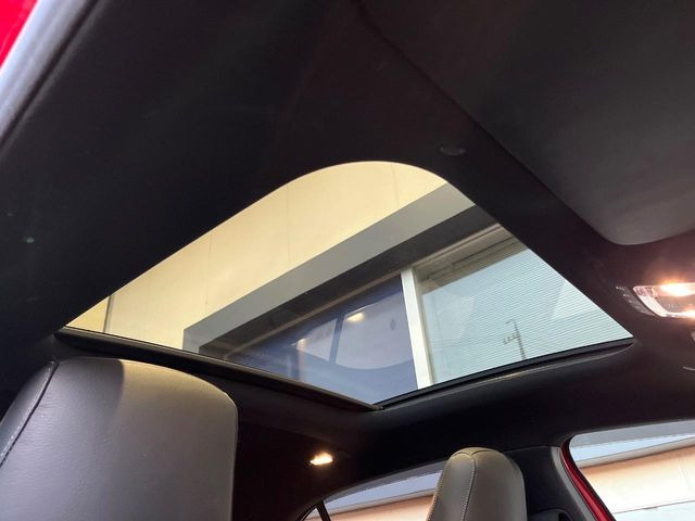 ���p�m���~�b�N�X���C�f�B���O���[�t::�唗�͂̃p�m���}���[�t�́A�㕔���Ȃɂ܂ő����Ă���A�J���I�ȋ�Ԃ����y���݂��������܂��B