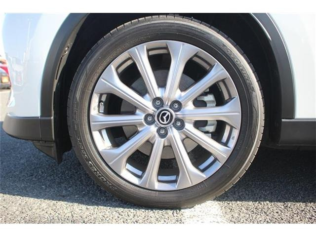 ���Ǝҗl�ւ̔̔��͂��f�肳���Ă��������܂��B �Ԍ������ԗ��̏ꍇ�́A�Ԍ����擾�������x�������z�ŕ\�����Ă���܂��B