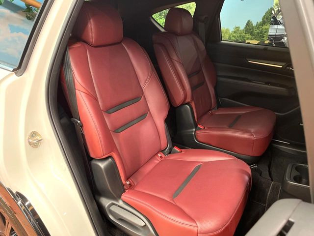 �㕔���Ȃ��C�ɂȂ�悤�ȃL�Y�E�����ւ��蓙�A�傫�ȃ_���[�W�͂Ȃ��A�ǍD�ȏ�Ԃł��B