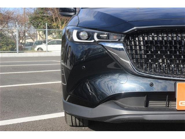 ���Ǝҗl�ւ̔̔��͂��f�肳���Ă��������܂��B �Ԍ������ԗ��̏ꍇ�́A�Ԍ����擾�������x�������z�ŕ\�����Ă���܂��B