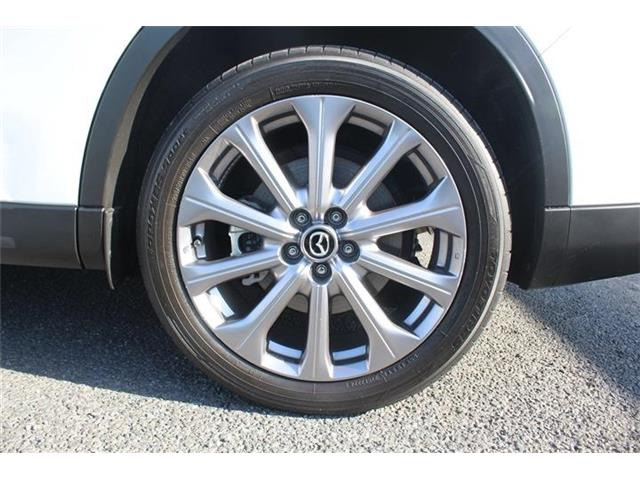 ���Ǝҗl�ւ̔̔��͂��f�肳���Ă��������܂��B �Ԍ������ԗ��̏ꍇ�́A�Ԍ����擾�������x�������z�ŕ\�����Ă���܂��B