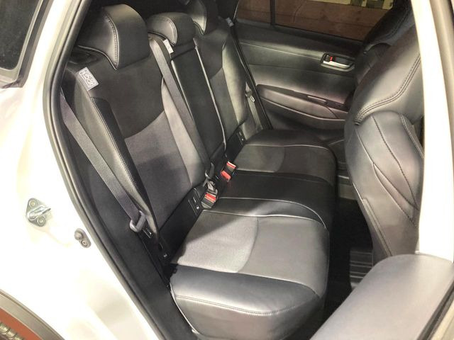 �㕔���Ȃ��C�ɂȂ�悤�ȃL�Y�E�����ւ��蓙�A�傫�ȃ_���[�W�͂Ȃ��A�ǍD�ȏ�Ԃł��B