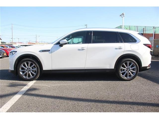 ���Ǝҗl�ւ̔̔��͂��f�肳���Ă��������܂��B �Ԍ������ԗ��̏ꍇ�́A�Ԍ����擾�������x�������z�ŕ\�����Ă���܂��B