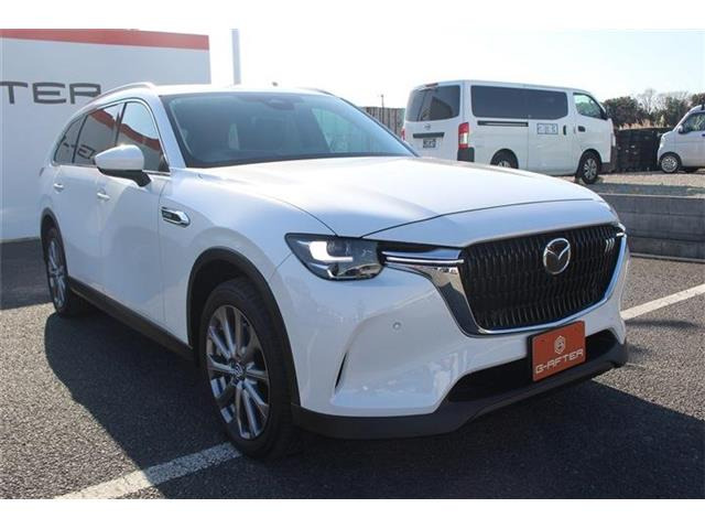 ���Ǝҗl�ւ̔̔��͂��f�肳���Ă��������܂��B �Ԍ������ԗ��̏ꍇ�́A�Ԍ����擾�������x�������z�ŕ\�����Ă���܂��B