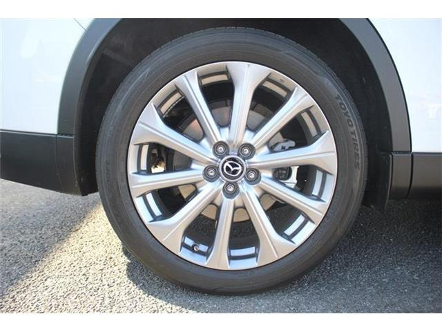 ���Ǝҗl�ւ̔̔��͂��f�肳���Ă��������܂��B �Ԍ������ԗ��̏ꍇ�́A�Ԍ����擾�������x�������z�ŕ\�����Ă���܂��B