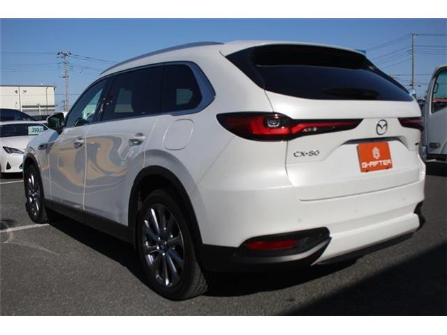 ���Ǝҗl�ւ̔̔��͂��f�肳���Ă��������܂��B �Ԍ������ԗ��̏ꍇ�́A�Ԍ����擾�������x�������z�ŕ\�����Ă���܂��B