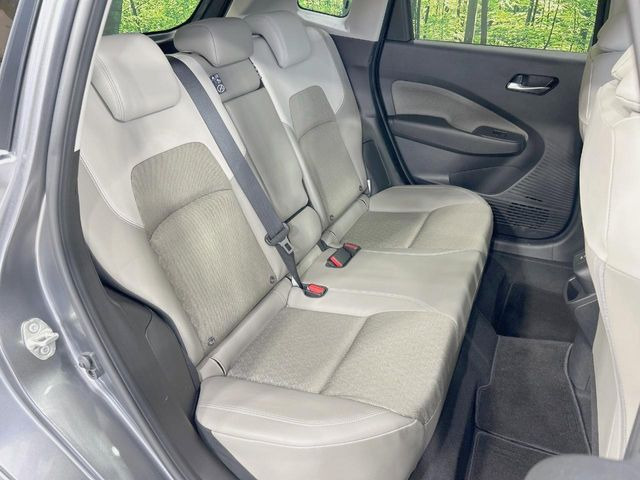 �㕔���Ȃ��C�ɂȂ�悤�ȃL�Y�E�����ւ��蓙�A�傫�ȃ_���[�W�͂Ȃ��A�ǍD�ȏ�Ԃł��B