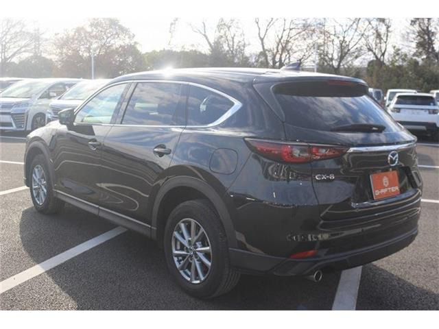 ���Ǝҗl�ւ̔̔��͂��f�肳���Ă��������܂��B �Ԍ������ԗ��̏ꍇ�́A�Ԍ����擾�������x�������z�ŕ\�����Ă���܂��B