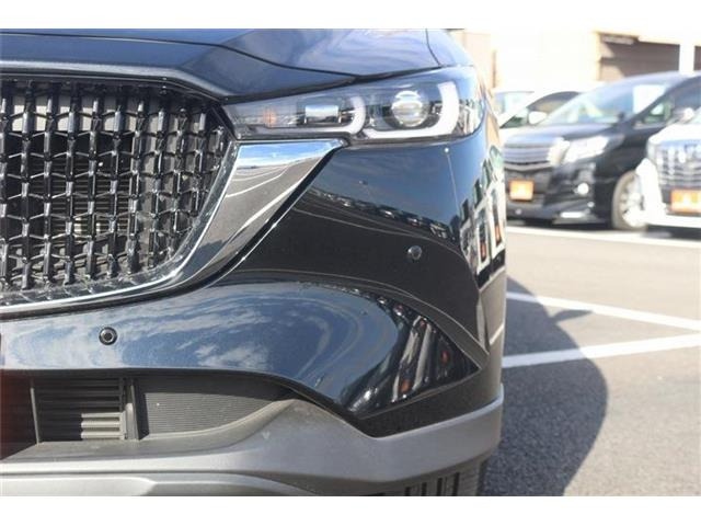 ���Ǝҗl�ւ̔̔��͂��f�肳���Ă��������܂��B �Ԍ������ԗ��̏ꍇ�́A�Ԍ����擾�������x�������z�ŕ\�����Ă���܂��B