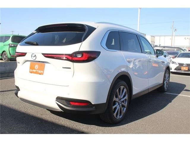 ���Ǝҗl�ւ̔̔��͂��f�肳���Ă��������܂��B �Ԍ������ԗ��̏ꍇ�́A�Ԍ����擾�������x�������z�ŕ\�����Ă���܂��B