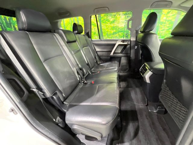 �㕔���Ȃ��C�ɂȂ�悤�ȃL�Y�E�����ւ��蓙�A�傫�ȃ_���[�W�͂Ȃ��A�ǍD�ȏ�Ԃł��B