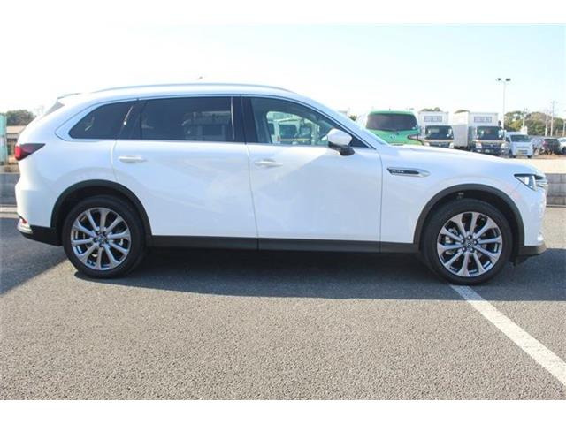 ���Ǝҗl�ւ̔̔��͂��f�肳���Ă��������܂��B �Ԍ������ԗ��̏ꍇ�́A�Ԍ����擾�������x�������z�ŕ\�����Ă���܂��B