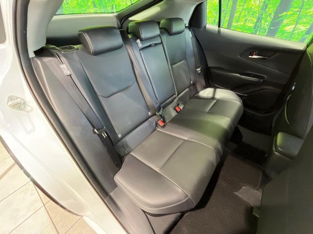 �㕔���Ȃ��C�ɂȂ�悤�ȃL�Y�E�����ւ��蓙�A�傫�ȃ_���[�W�͂Ȃ��A�ǍD�ȏ�Ԃł��B