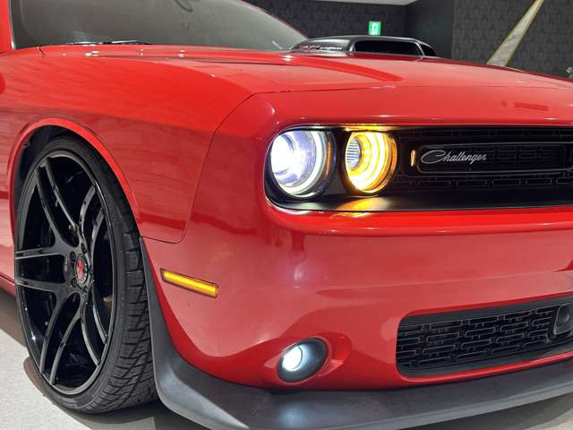 �d��:�����A�[�o���p�[�N���C�����؍�w���k����5��&rArr;