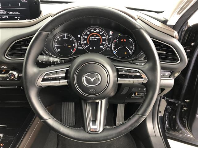 CX-301.8 XD Lパッケージ