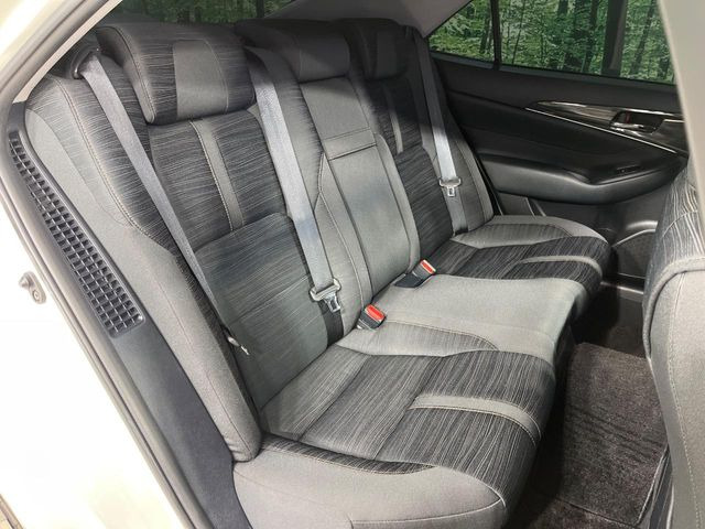 �㕔���Ȃ��C�ɂȂ�悤�ȃL�Y�E�����ւ��蓙�A�傫�ȃ_���[�W�͂Ȃ��A�ǍD�ȏ�Ԃł��B