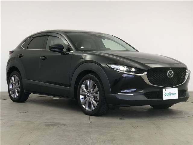 CX-301.8 XD Lパッケージ