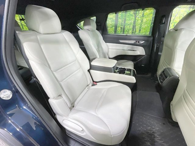 �㕔���Ȃ��C�ɂȂ�悤�ȃL�Y�E�����ւ��蓙�A�傫�ȃ_���[�W�͂Ȃ��A�ǍD�ȏ�Ԃł��B