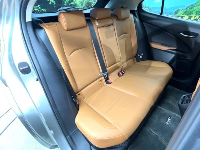 �㕔���Ȃ��C�ɂȂ�悤�ȃL�Y�E�����ւ��蓙�A�傫�ȃ_���[�W�͂Ȃ��A�ǍD�ȏ�Ԃł��B