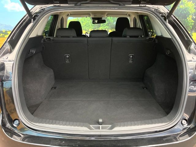 ���i�̂���������ʋ΁A���}���ɏ\���ȉ׎��X�y�[�X���m�ۂ��Ă���܂��B�Z�J���h�V�[�g��|���ƁA�傫�ȉו��̐ύڂ��\�ł���