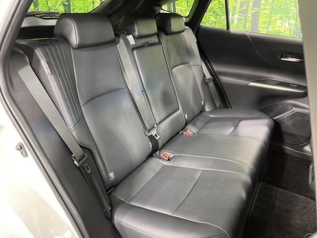 �㕔���Ȃ��C�ɂȂ�悤�ȃL�Y�E�����ւ��蓙�A�傫�ȃ_���[�W�͂Ȃ��A�ǍD�ȏ�Ԃł��B