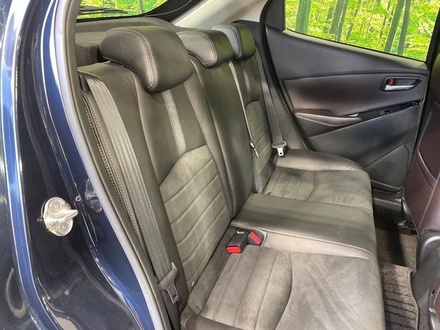 �㕔���Ȃ��C�ɂȂ�悤�ȃL�Y�E�����ւ��蓙�A�傫�ȃ_���[�W�͂Ȃ��A�ǍD�ȏ�Ԃł��B