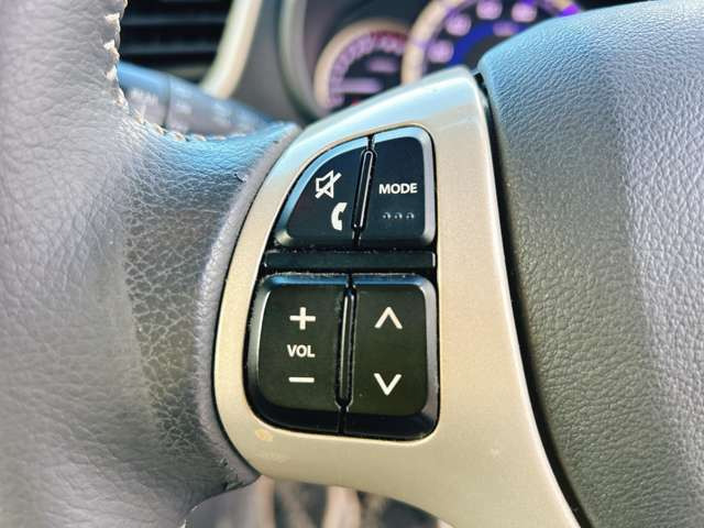 �y�X�e�A�����O�X�C�b�`�z�n���h���̃{�^���ŊȒP�Ƀi�r�̉��ʂ�`�����l������\�ł���