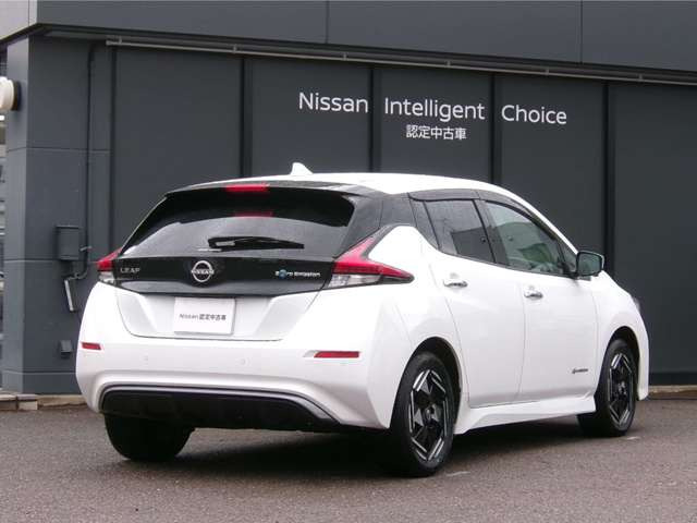 リーフe+ X
