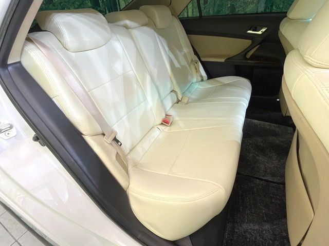 �㕔���Ȃ��C�ɂȂ�悤�ȃL�Y�E�����ւ��蓙�A�傫�ȃ_���[�W�͂Ȃ��A�ǍD�ȏ�Ԃł��B