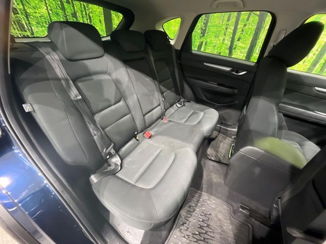 �㕔���Ȃ��C�ɂȂ�悤�ȃL�Y�E�����ւ��蓙�A�傫�ȃ_���[�W�͂Ȃ��A�ǍD�ȏ�Ԃł��B