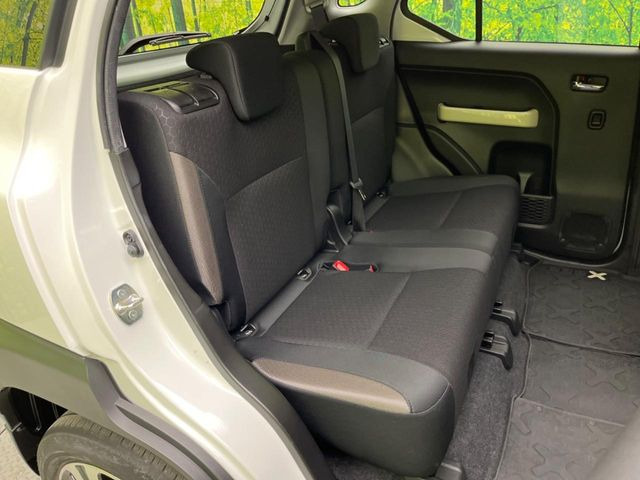 �㕔���Ȃ��C�ɂȂ�悤�ȃL�Y�E�����ւ��蓙�A�傫�ȃ_���[�W�͂Ȃ��A�ǍD�ȏ�Ԃł��B