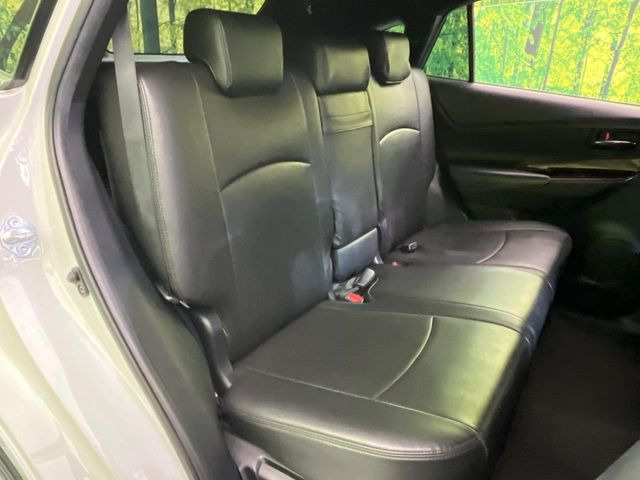 �㕔���Ȃ��C�ɂȂ�悤�ȃL�Y�E�����ւ��蓙�A�傫�ȃ_���[�W�͂Ȃ��A�ǍD�ȏ�Ԃł��B