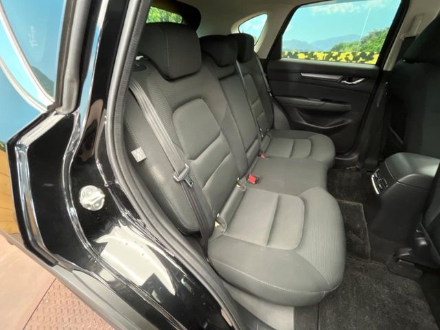 �㕔���Ȃ��C�ɂȂ�悤�ȃL�Y�E�����ւ��蓙�A�傫�ȃ_���[�W�͂Ȃ��A�ǍD�ȏ�Ԃł��B