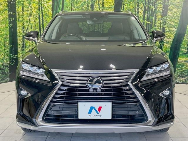 ��D�]�𒸂��Ă���܂��{�f�B�̒e�X�v���b�V���R�[�g���D�]��t���B�ʏ�̃K���X�R�[�g�ƈقȂ�A�ϋv�N��6�N�̖��@���K���X�R�[�e�B���O���A�{�f�B���L���C�ȏ�Ԃɕۂ��Ă���܂��B