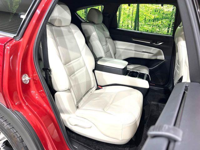 �㕔���Ȃ��C�ɂȂ�悤�ȃL�Y�E�����ւ��蓙�A�傫�ȃ_���[�W�͂Ȃ��A�ǍD�ȏ�Ԃł��B