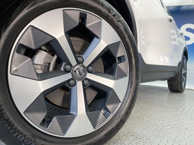 ������19�C���`�A���~�z�C�[��:�A���ԂȂ�ł͂̑�z����������x����z�C�[���Ƒ����ł�!���{�Ԃ̑���Ɋ���Ă�����ɂ����Б̊����Ē��������قǁA�������x���ł܂Ƃ܂��Ă�